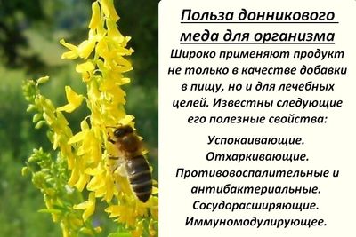 Польза для организма