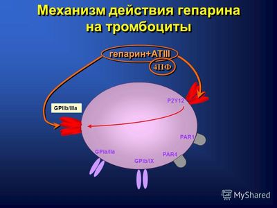 Механизм действия, состав и применение Гепарина