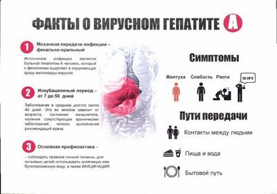 как распознать гепатит A