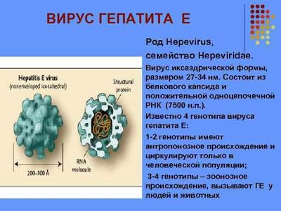 как распознать гепатит E