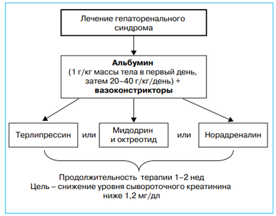 Общие принципы лечения гепаторенального синдрома
