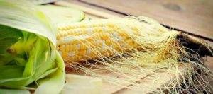 кукурузными рыльцами