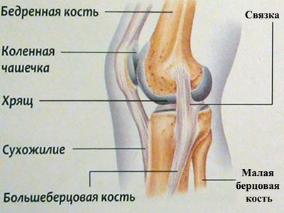 Схематический рисунок