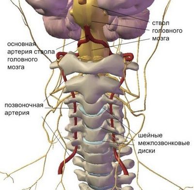 Симптомы и методы лечения хондроза в домашних условиях