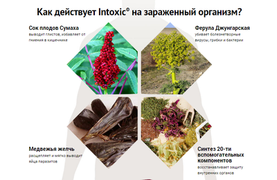 Составляющие препарата