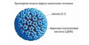 Как лечить вирус папилломы человека? Самые эффективные методы