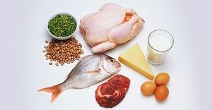 Перечень необходимых человеку продуктов, содержащих белок