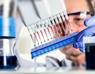 Результат ИФА может быть положительным, неопределенным или отрицательным