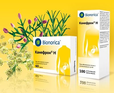 Обладает ли Канефрон мочегонным эффектом