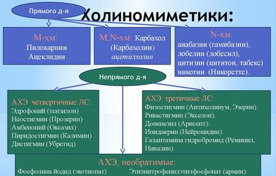 Холиномиметики