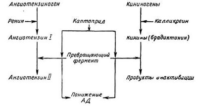 Механизм действия