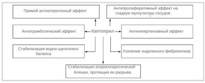 Лечебные эффекты