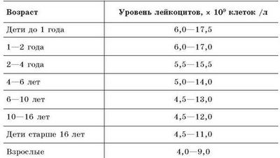 Что означает количество лейкоцитов в крови