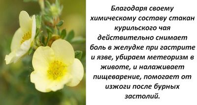 Помощь при гастрите