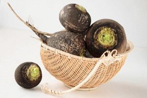 Использование чёрной редьки