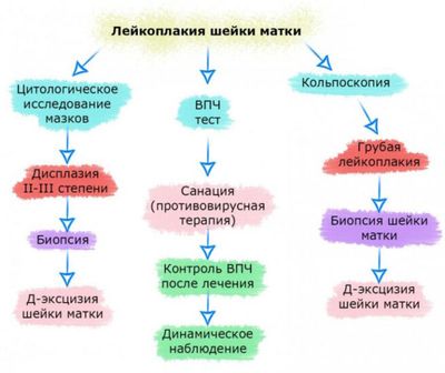 лейкоплакия протокол обследования