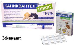 Каниквантел Плюс