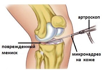 Иллюстрация 7