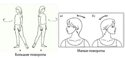 Большие и малые повороты по Бейтсу