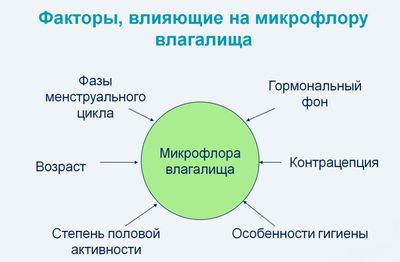 Стоит ли бояться мобилункуса в мазке?