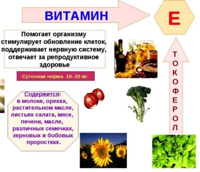 Морской окунь — польза и вред, можно ли при панкреатите 