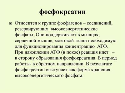 Отзывы кардиологов о препарате Неотон и инструкция по его применению