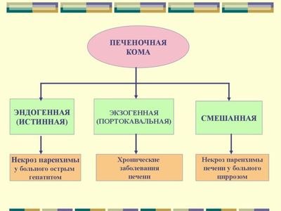 Печеночная кома