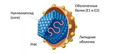 Возможные осложнения гепатитов: С, В, А