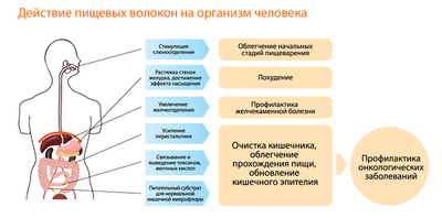 Польза для организма