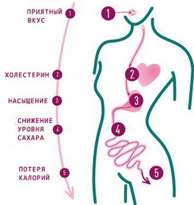 Пища для красоты