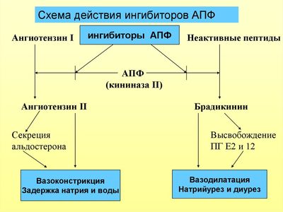 Механизм действия