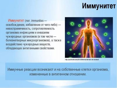 Пассивный иммунитет - это что такое, чем отличается от активного: в результате чего вырабатывается