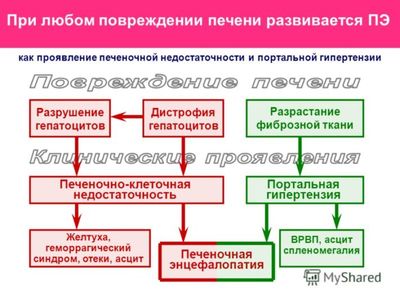 Клинические проявления повреждения печени