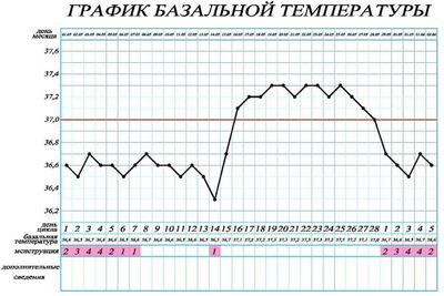 температура перед месячными