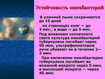 Устойчивость микобактерий