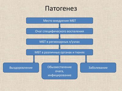 Схема развития