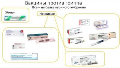 zhivye-i-nezhivye-vakciny