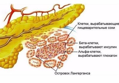 Островки Ларгенганса