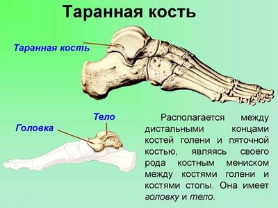 Подробный рисунок