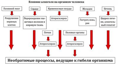 Что такое алкогольный панкреатит
