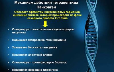 Инструкция по применению пищевой добавки Панкраген при панкреатите и обзор его аналогов