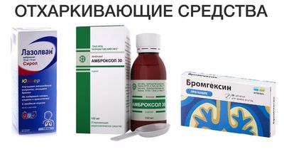 Отхаркивающие средства