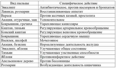 свойства перги