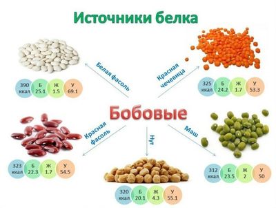 Источники белка