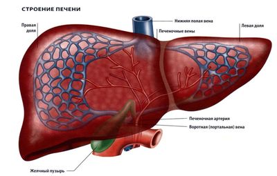 Портальная гипертензия