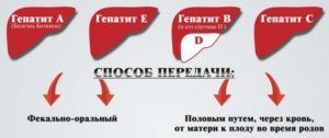 Пути передачи гепатита
