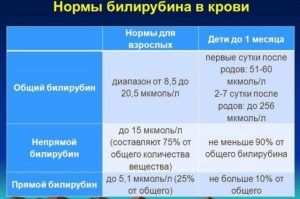 Норма билирубина в крови