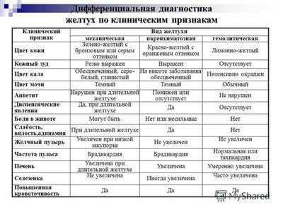 Дифференциальная диагностика желтух по клинике
